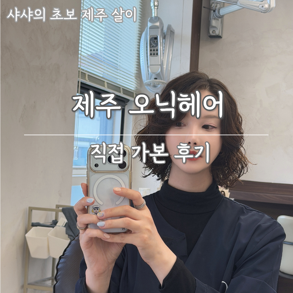 오닉헤어 리뷰 모음